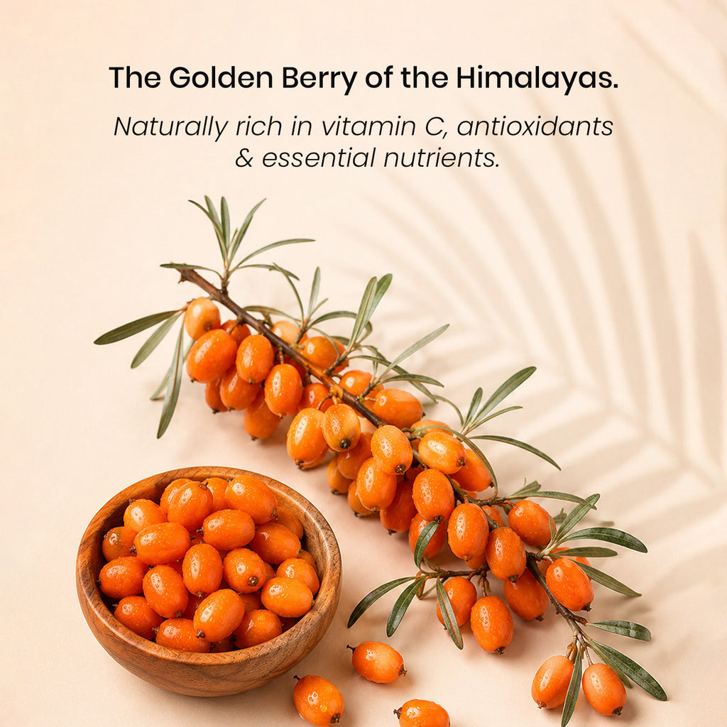 Sea Buckthorn Effervescent Tablets – Daily Wellness Formula