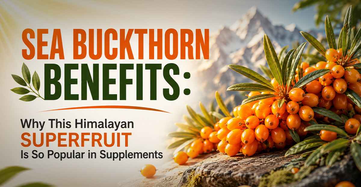 Sea Buckthorn Benefits: Why This Himalayan Superfruit Is So Popular in Supplements
